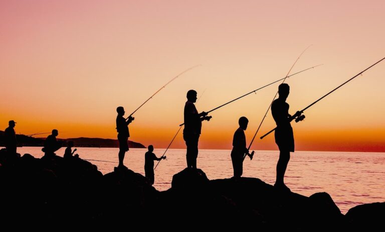 Lübeck für Angler: So fängst du Hecht, Zander und Meerforelle