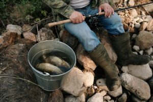 Welche Fische leben in der Lübecker Bucht?